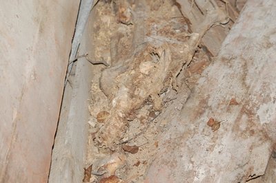 DSC_2092.JPG