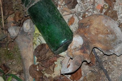 DSC_2097.JPG