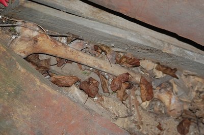 DSC_2098.JPG