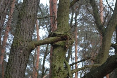 DSC_2154.JPG