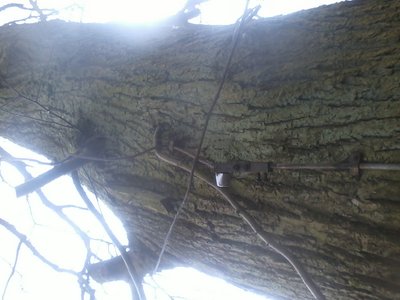 piorun.jpg (539.19 KiB) Przejrzano 4835 razy piorun.jpg