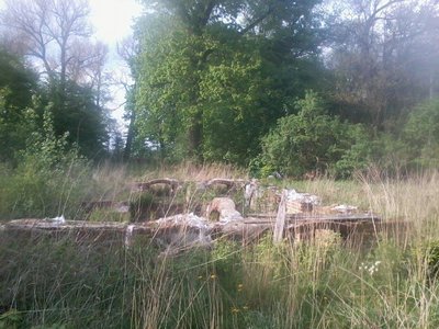 foto (7).jpg