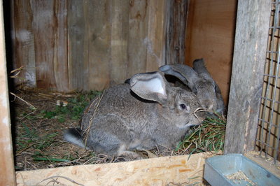 DSC_2687.JPG (2.7 MiB) Przejrzano 5856 razy DSC_2687.JPG