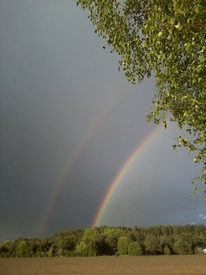 maj2016.jpg