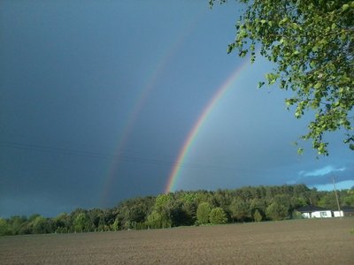 maj16.jpg