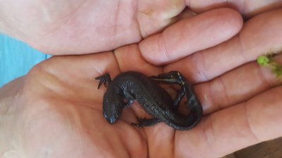 20160512_180051.jpg