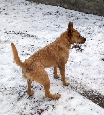 IMG_20181218_102754.jpg (931.88 KiB) Przejrzano 4115 razy IMG_20181218_102754.jpg